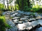 Wüstenhain - Fischtreppe an der Kzschischoka