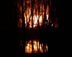 Osterfeuer in Wüstenhain