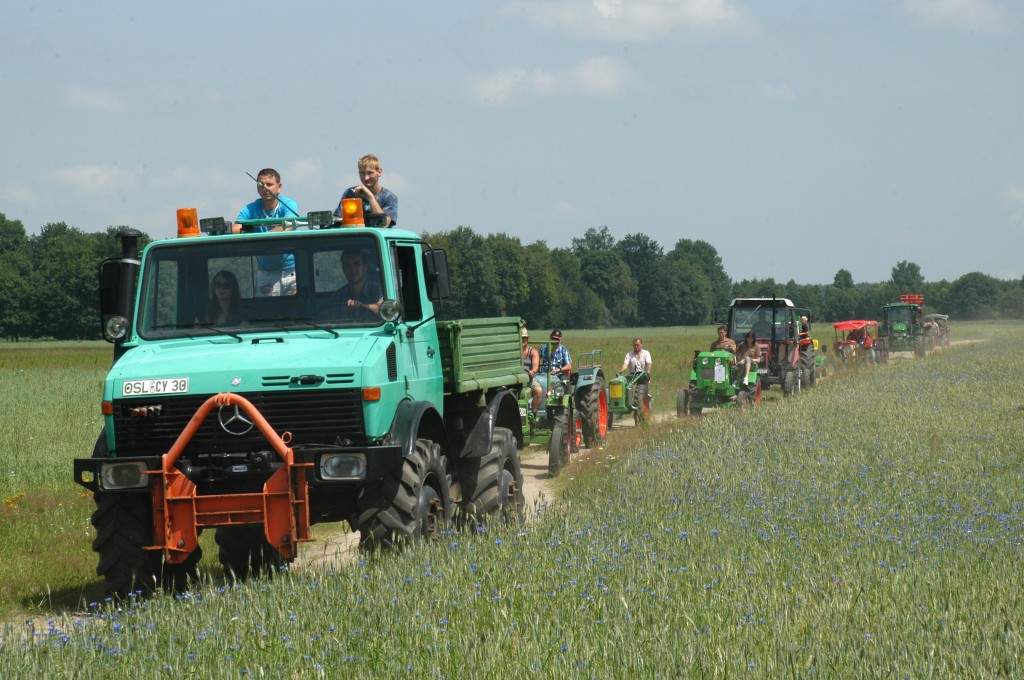 iDSC_0053.jpg