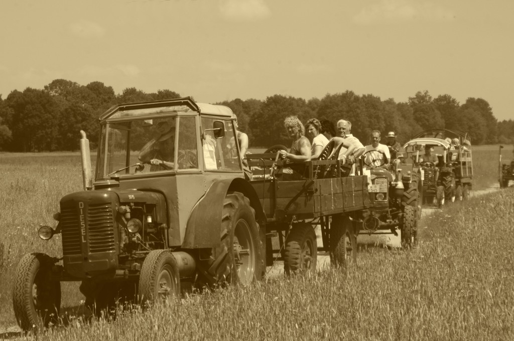 iiDSC_0068.jpg
