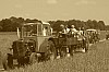 iiDSC_0068.jpg